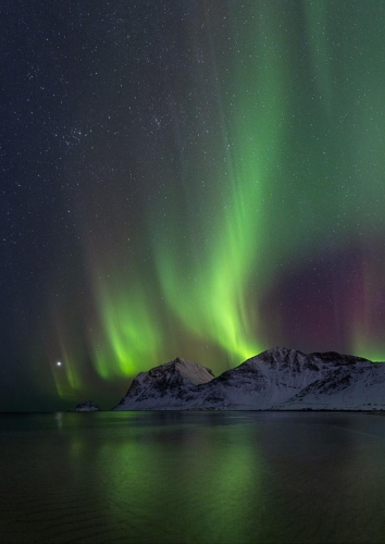 Haukland Beach Aurora