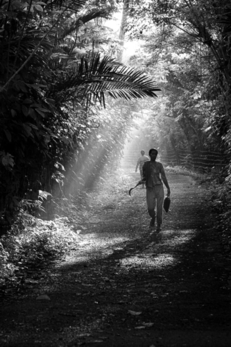 Early morning light somewhere on Bali Island