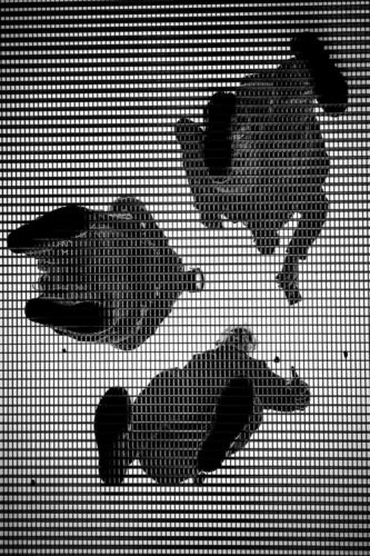 Photography discussion on Millennium Bridge in London