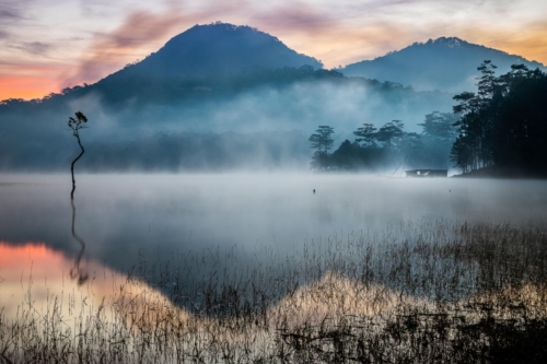 Ho Tuyen Lake and its lonely tree