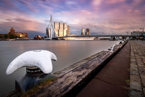 Sunrise at Rotterdam Erasmus Bridge